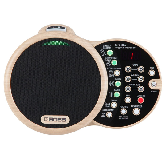 Boss DR-01S Rhythm Partner
