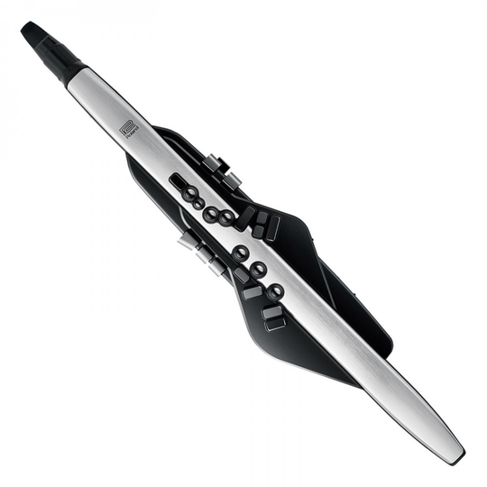 Roland AE-30 Aerophone Pro Digital Wind Instrument