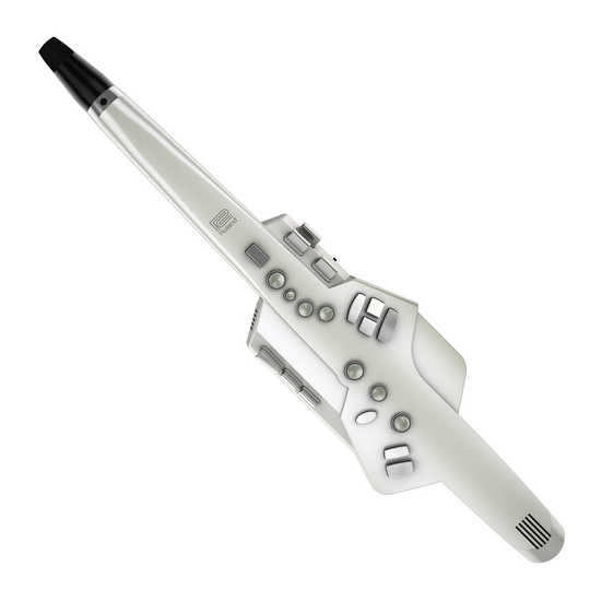 Roland AE-10 Aerophone Digital Wind Instrument - Ex Demo