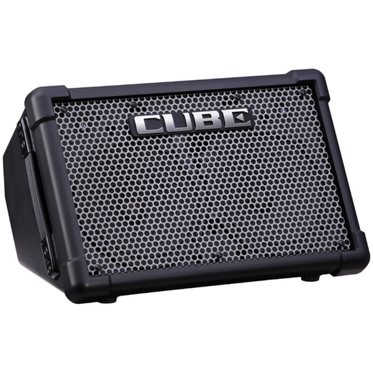 Roland CUBE Street EX Battery Powered Stereo Amplifier