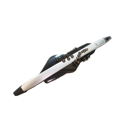 Roland AE-30 Aerophone Pro Digital Wind Instrument - Ex Demo