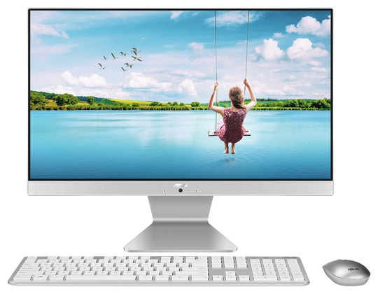 ASUS Vivo V222 21.5in Pentium Gold 8GB 1TB All-in-One PC