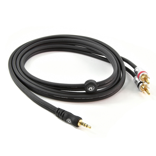 Planet Waves Dual RCA to Stereo Mini Jack Cable 5ft