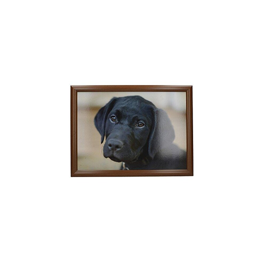 Creative Tops Labrador Laptray